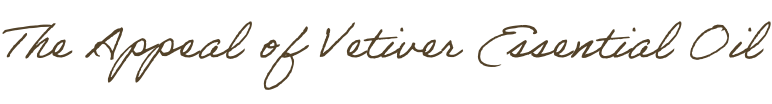 The Appeal of Vetiver Essential Oil